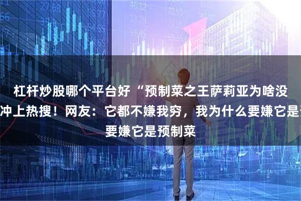 杠杆炒股哪个平台好 “预制菜之王萨莉亚为啥没人骂”冲上热搜！网友：它都不嫌我穷，我为什么要嫌它是预制菜