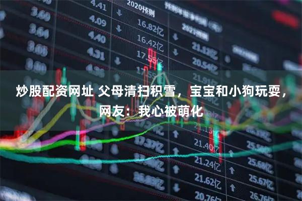 炒股配资网址 父母清扫积雪，宝宝和小狗玩耍，网友：我心被萌化