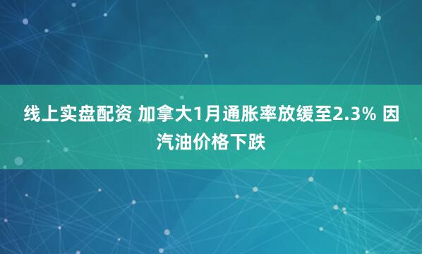 线上实盘配资 加拿大1月通胀率放缓至2.3% 因汽油价格下跌
